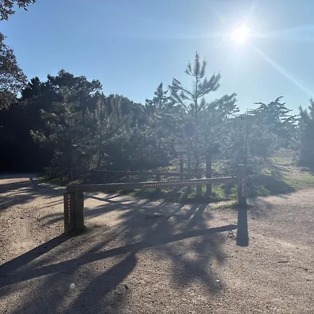 펜션 La Foret *